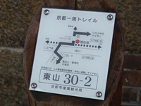 Finishing the first day trekking