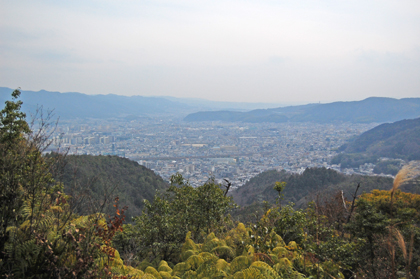 Taking you to Yamashina