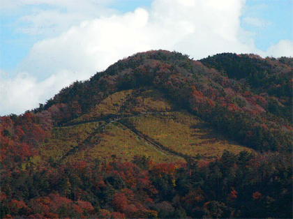 Mt.Daimonji